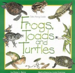 Frogs, Toads and Turtles