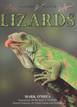 Lizards