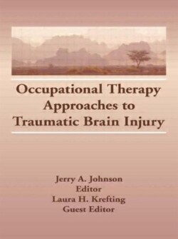 Occupational Therapy Approaches to Traumatic Brain Injury