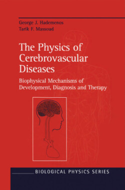 Physics of Cerebrovascular Diseases