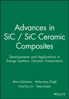 Advances in SiC / SiC Ceramic Composites