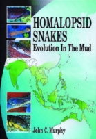 Homalopsid Snakes