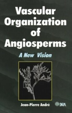 Vascular Organization of Angiosperms