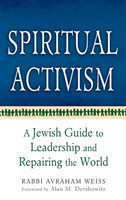 Spiritual Activism
