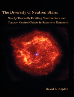 Diversity of Neutron Stars