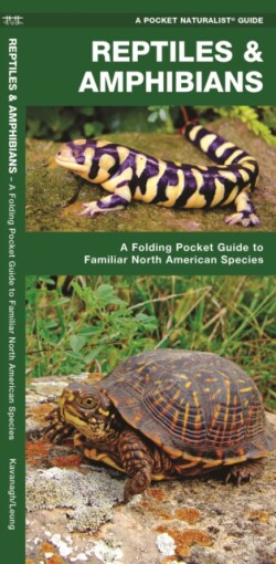 Reptiles & Amphibians