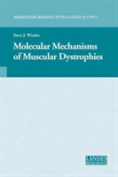 Molecular Mechanisms of Muscular Dystrophies