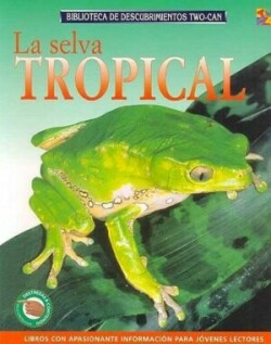 Selva Tropical