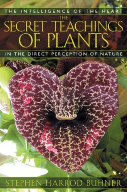 Secret Teachings of Plants