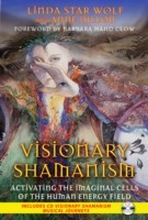 Visionary Shamanism