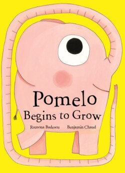 Pomelo Begins to Grow