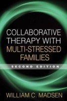 Collaborative Therapy with Multi-Stressed Families, Second Edition