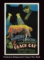 Black Cat (hardback)