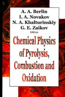 Chemical Physics of Pyrolysis, Combustion & Oxidation