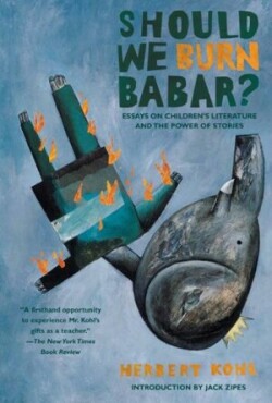 Should We Burn Babar?