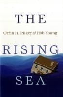 Rising Sea