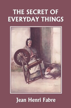 Secret of Everyday Things (Yesterday's Classics)