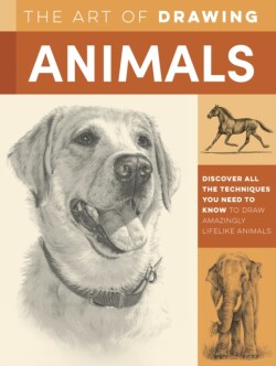 Art of Drawing Animals