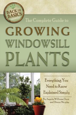 Complete Guide to Growing Windowsill Plants