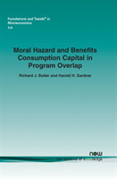 Moral Hazard and Benefits Consumption Capital in Program Overlap