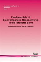 Fundamentals of Electromagnetic Nanonetworks in the Terahertz Band