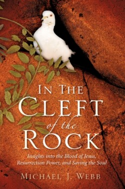 In The Cleft Of The Rock