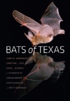 Bats of Texas