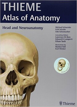 Head and Neuroanatomy (THIEME Atlas of Anatomy)