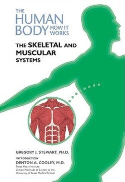 Skeletal and Muscular Systems