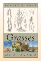 Grasses of Colorado