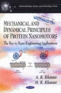 Mechanical & Dynamical Principles of Protein Nanomotors