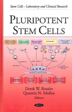 Pluripotent Stem Cells