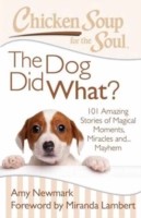 Chicken Soup for the Soul: The Dog Did What?