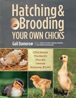 Hatching & Brooding Your Own Chicks