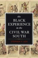 Black Experience in the Civil War South