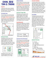 Excel 2013 Laminated Tip Card