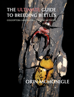 Ultimate Guide to Breeding Beetles