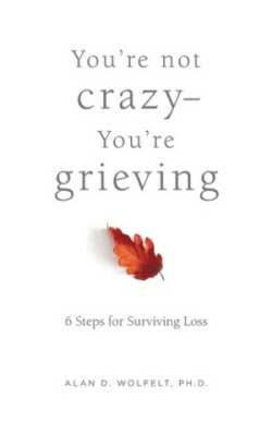 You're Not Crazy-You're Grieving: