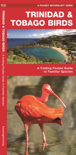 Trinidad & Tobago Birds