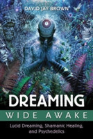 Dreaming Wide Awake