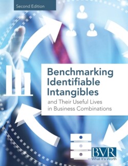 Benchmarking Identifiable Intangibles and Their Useful Lives in Business Combinations, Second Edition