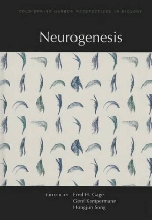 Neurogenesis