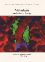Metastasis: Mechanism to Therapy