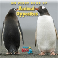 My First Book of Animal Opposites (National Wildlife Federation)