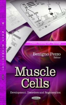 Muscle Cells