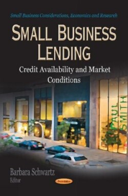 Small Business Lending