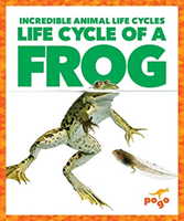 Life Cycle of a Frog