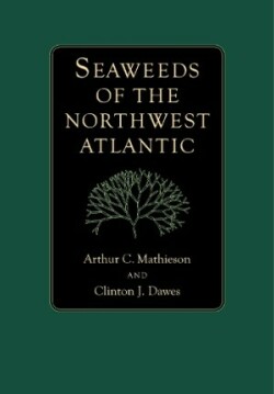 Seaweeds of the Northwest Atlantic