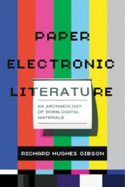 Paper Electronic Literature