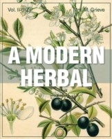 Modern Herbal Vol 2